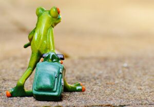 frog, farewell, travel, suitcase, travel bag, vacations, nature, on the way, animal, fun, figure, cute